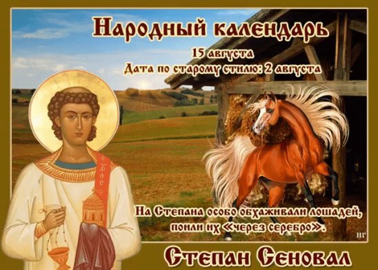 День рождения Мишутки