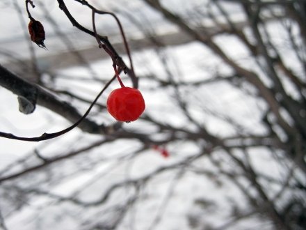 Степан сеновал 15 августа