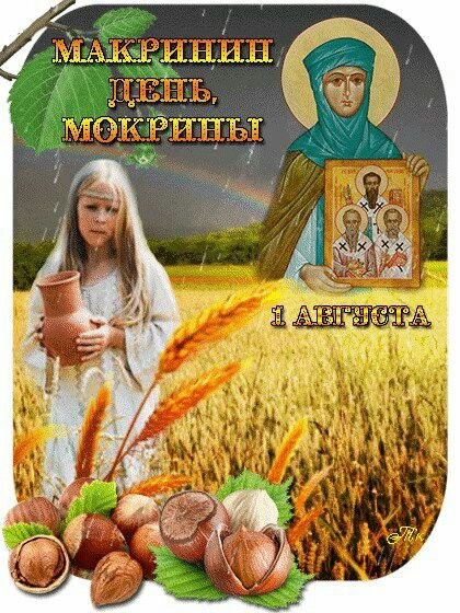 Мокрины 1 августа