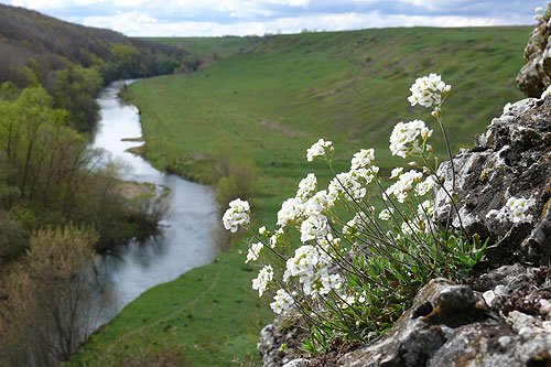 Преподобной Макрины, сестры святителя Василия Великого.