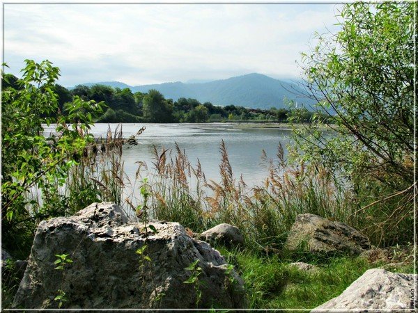 Макринин день, Мокрины