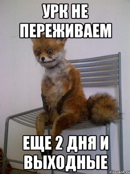 Ещё 2 дня и выходные