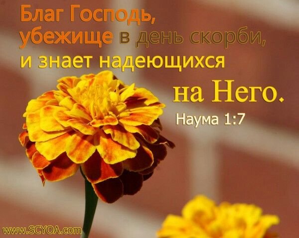 Открытки христианские в утешение