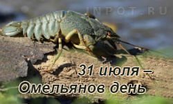 31 Июля день попугаев