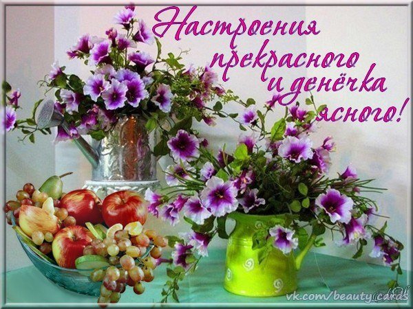 Приветствие с добрым днем