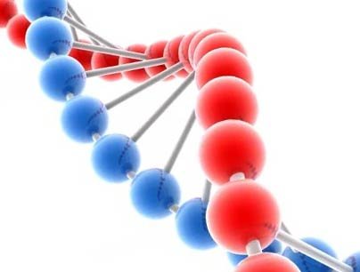 Открытие структуры ДНК 1953