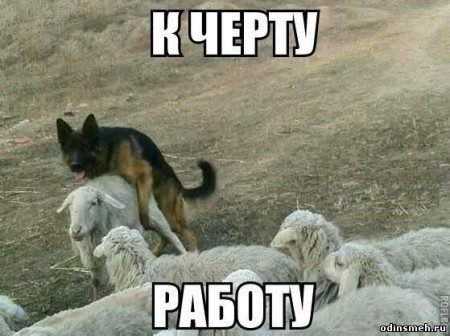 Прикольные открытки с днем рождения