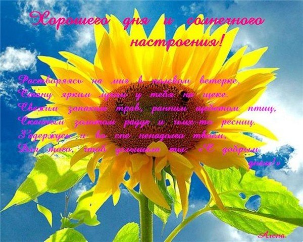 День насмарку картинка (64 фото)