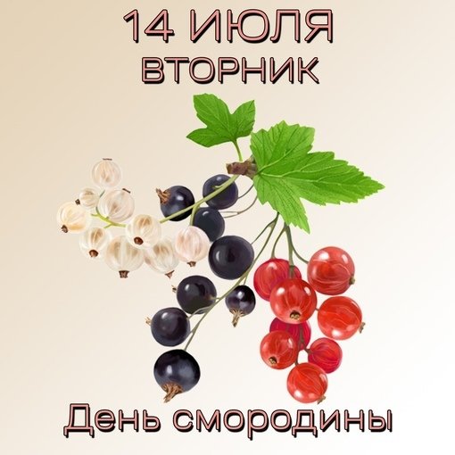 Смородина Услада