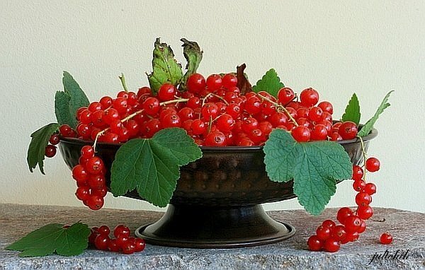 Празднуем день смородины