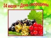 Поздравить с днем смородины
