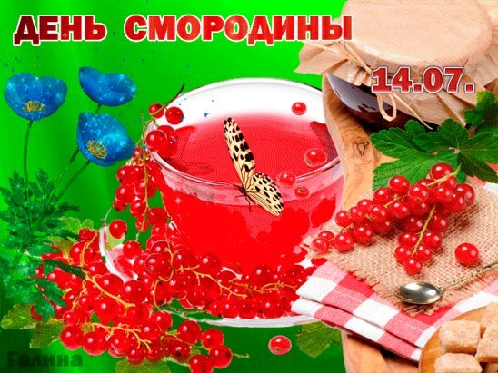 Лето смородина