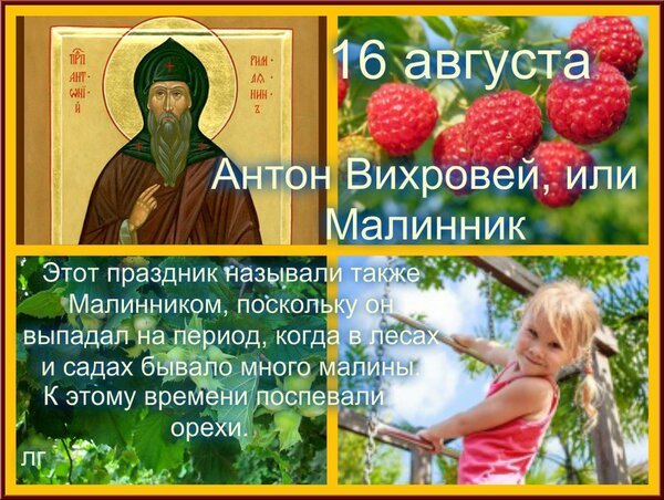 Народный календарь 16 августа Антон Вихровей малинник