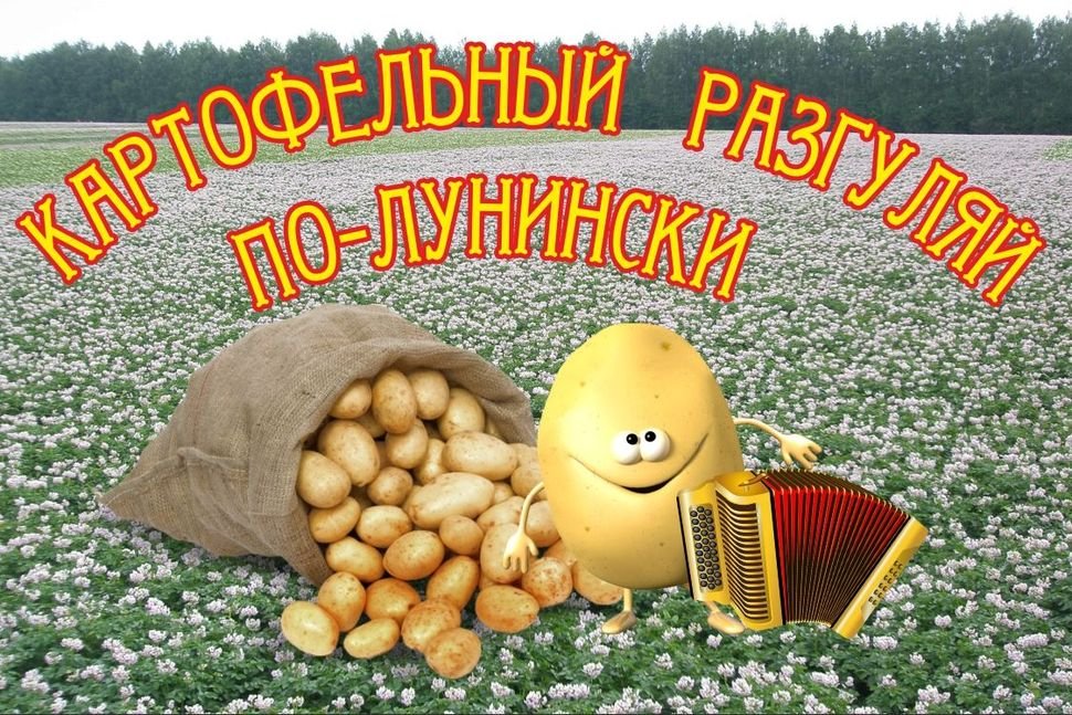 Когда день картошки