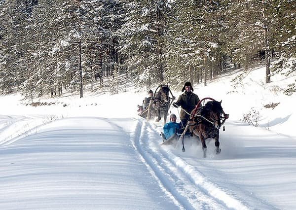 Проклов день фото