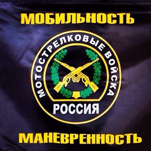 Мотострелковые войска 19 августа