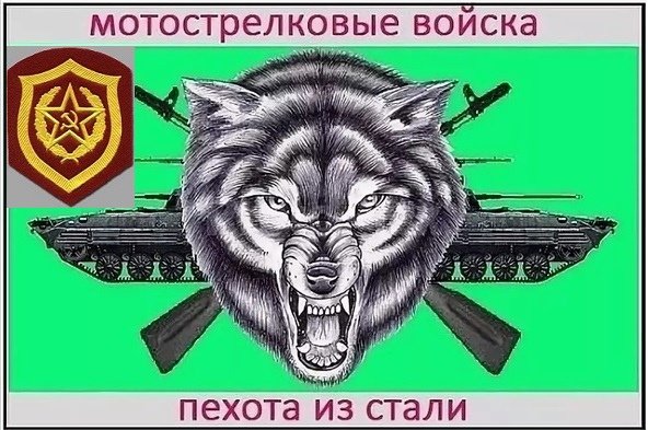 День пехоты мотострелковых войск