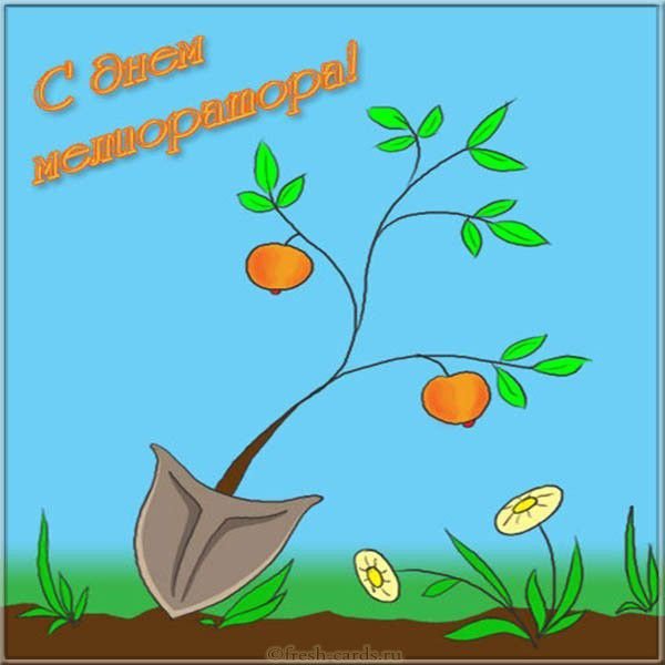 Сельскохозяйственная мелиорация