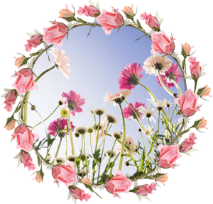 Макрида 1 августа