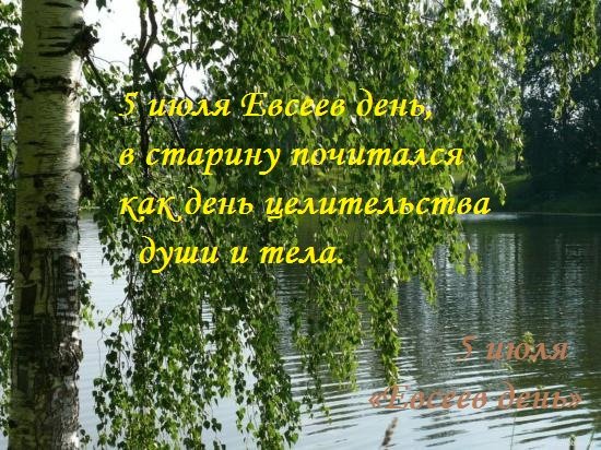 Трофим Бессонник 5 августа