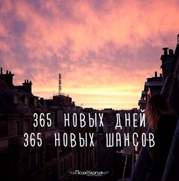 Из 365 дней