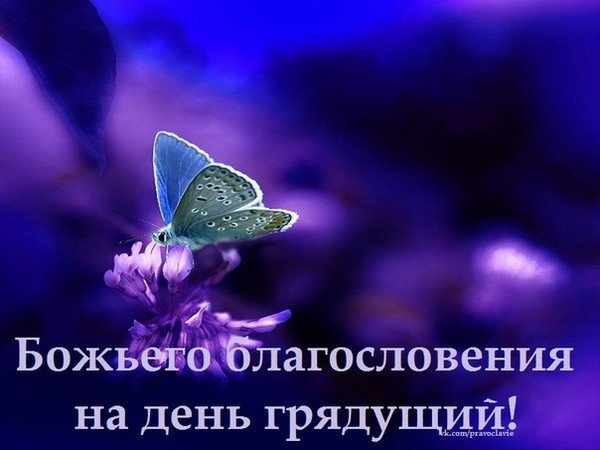 Божьих благословений