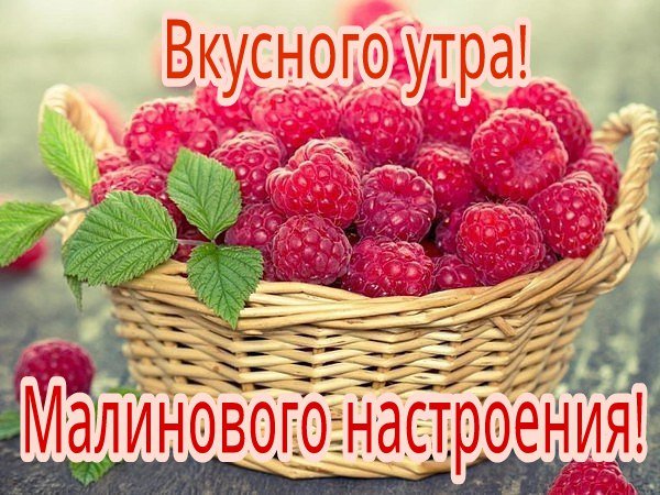 16 Августа день малинового варенья