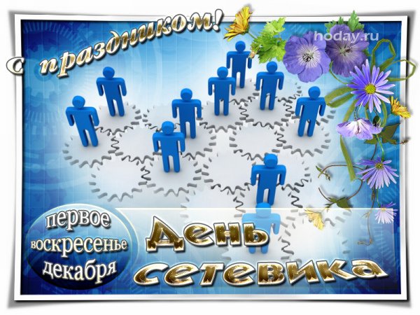 День сетевика в России