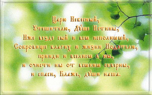 С днем Святого духа картинки с природой