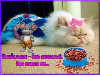 Открытки и снова понедельник