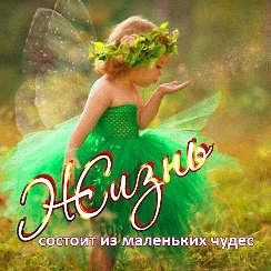 Жизнь состоит из маленьких чудес которые случаются с нами каждый день