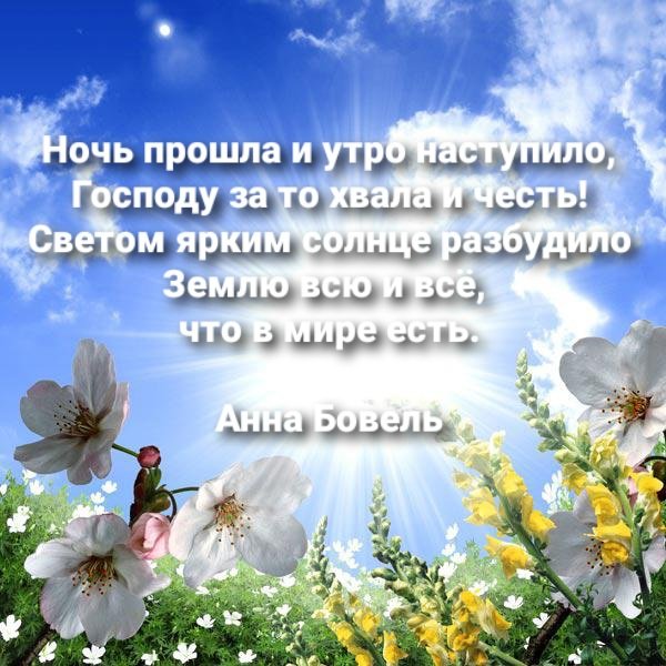 Всем счастья и добра цитаты