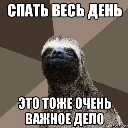 Мемы про сон днем