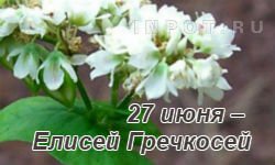 Елисей Гречкосей