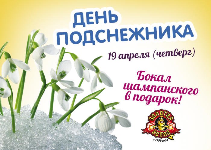 9 апреля какой праздник в россии. День подснежника. 19 Апреля день подснежника. День подснежника 2021. С днем подснежника открытки.
