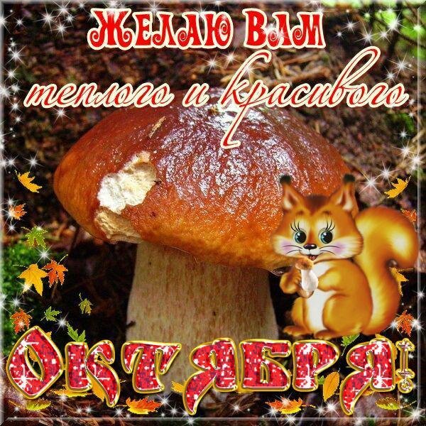 Открытки с началом октября