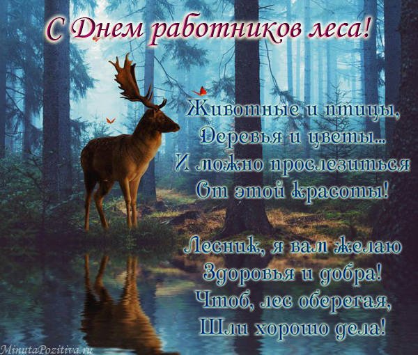 С днем работника леса
