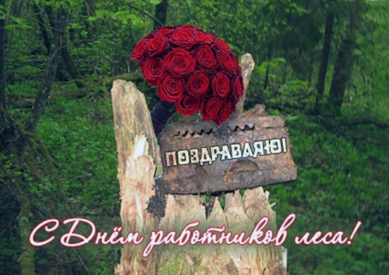 День лесника