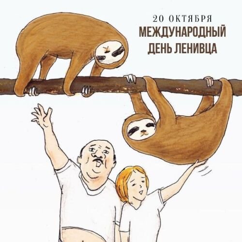 Международный день ленивца (International Sloth Day)