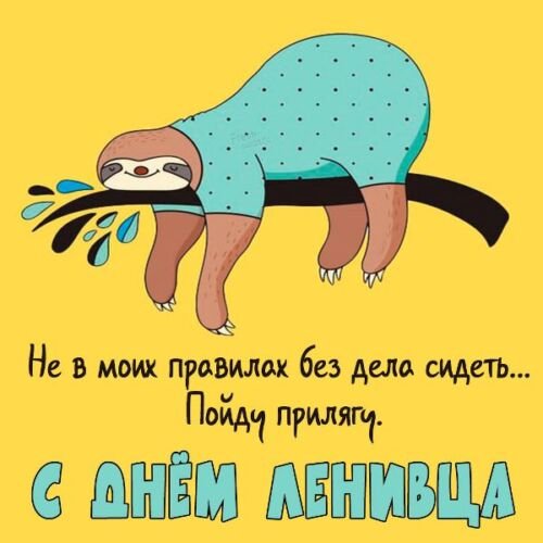 Ленивец Коста Рика