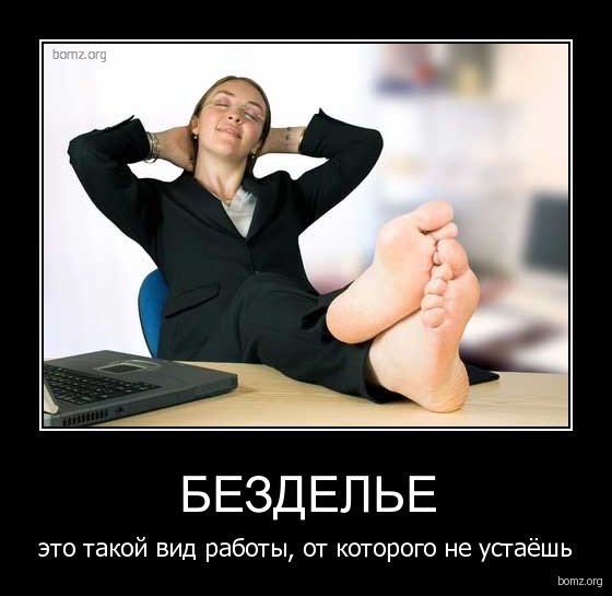 Коты и лень