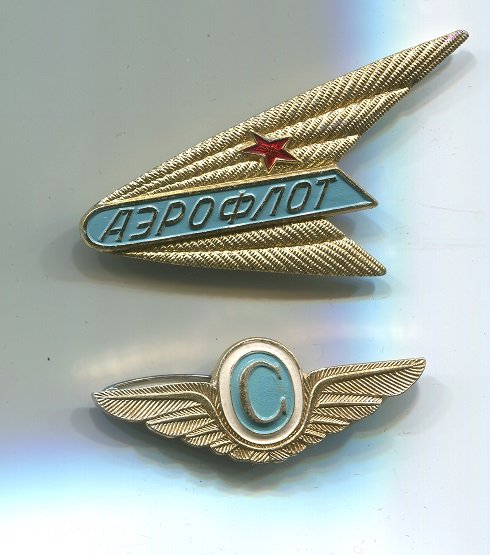 День бортпроводницы