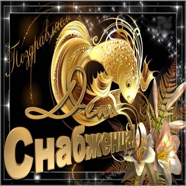 День снабженца