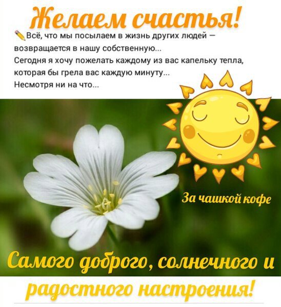 Вчерашний день история а завтрашний загадка