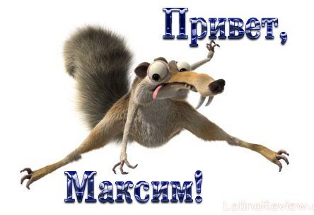 День макса картинки (58 фото)