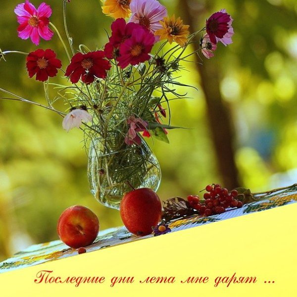 Осенний чемодан