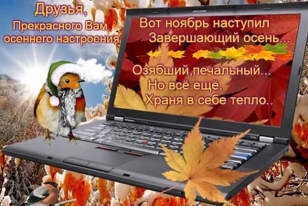 Вот и пятница пришла