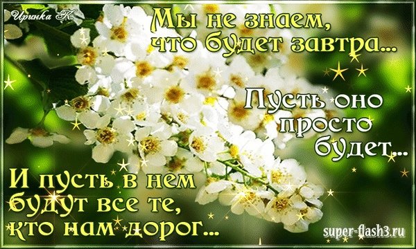 Мы не знаем что будет завтра пусть оно просто будет