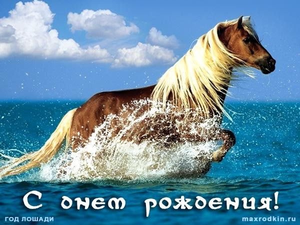 Поздравления с днём рождения с лошадьми