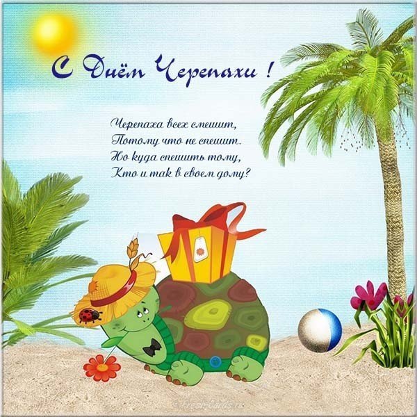 С днем рождения черепаха